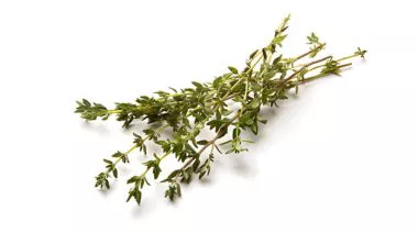 garnishing-instructions-image